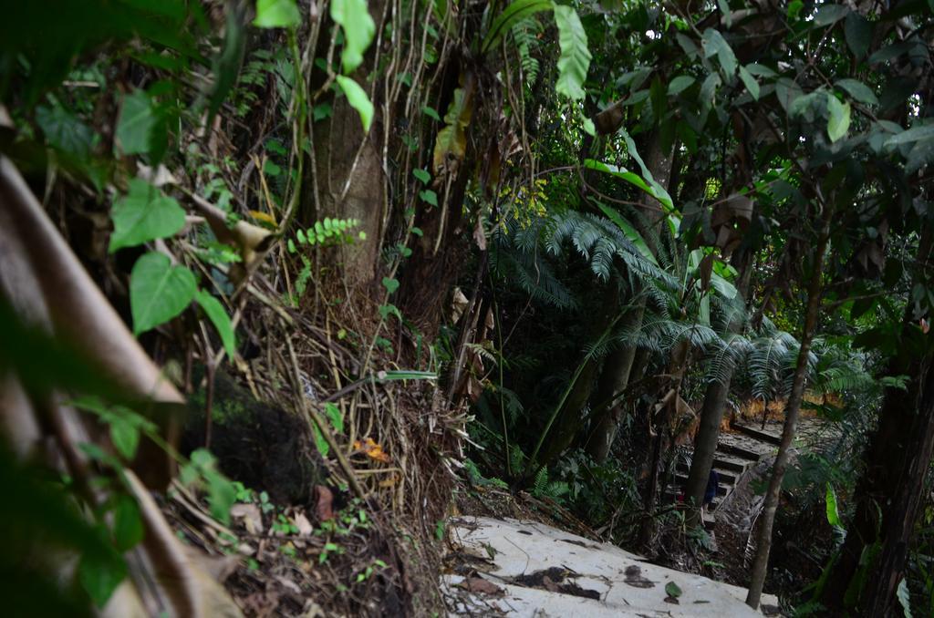 The Woodz Homestay Tanah Rata Bagian luar foto