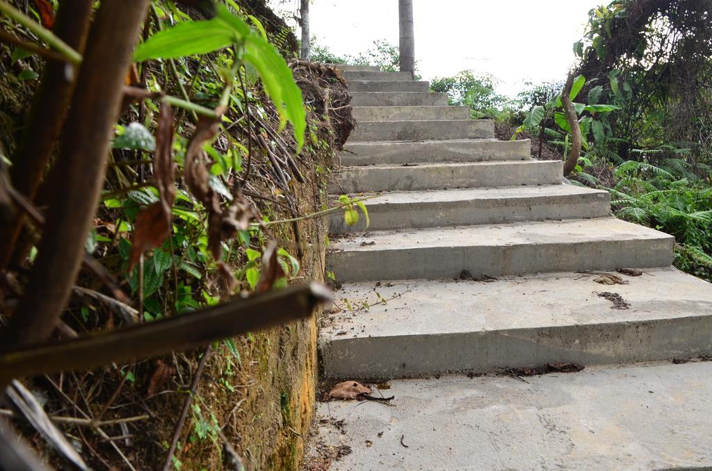 The Woodz Homestay Tanah Rata Bagian luar foto