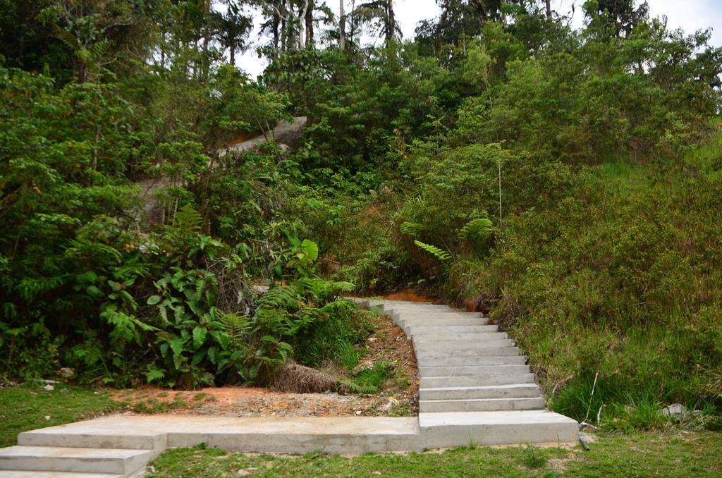 The Woodz Homestay Tanah Rata Bagian luar foto